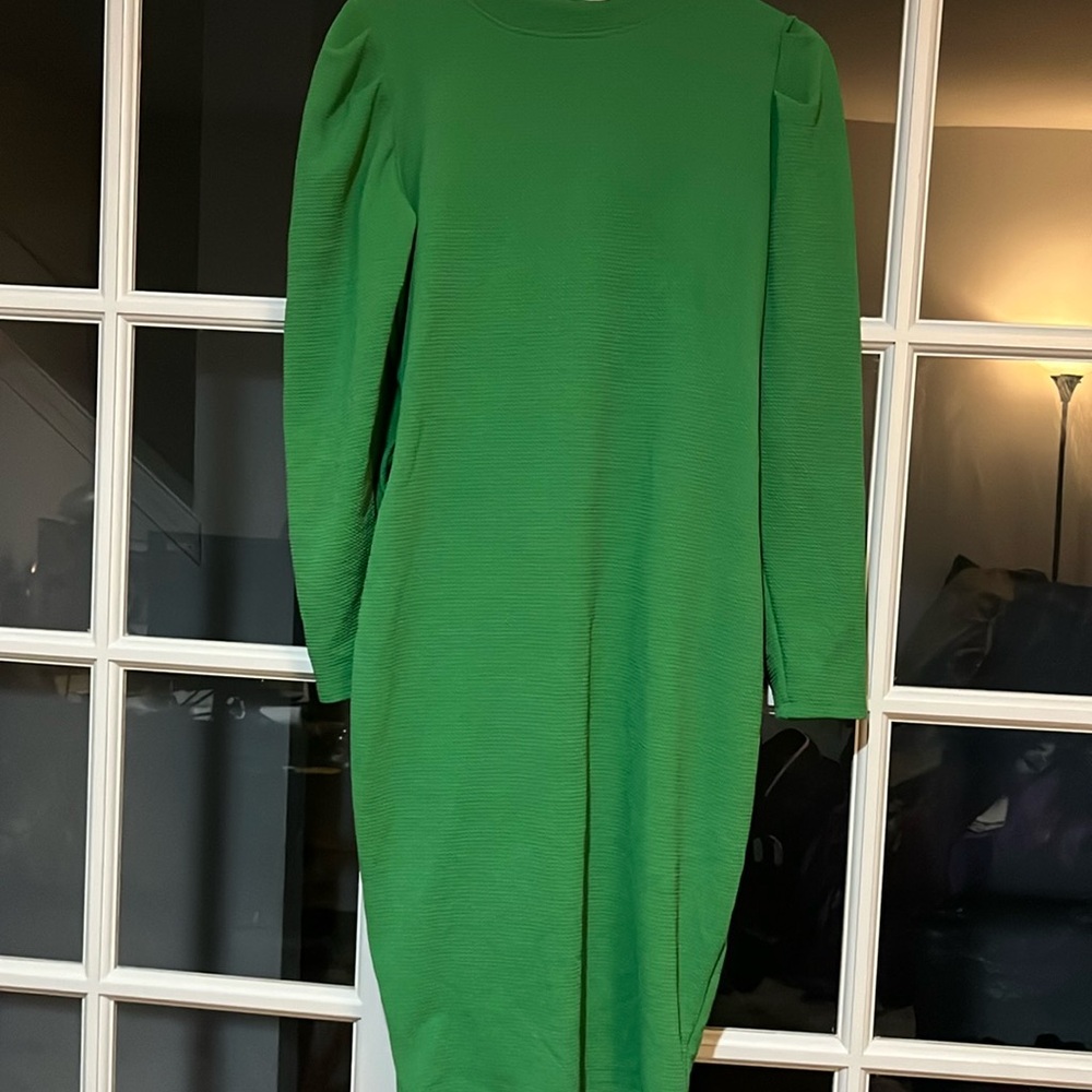 COPY - Ashley stewart long sleeve puffed shoulder dress